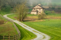 Pictorial Honorable Mention - Foggy Morning on the Farm by Valerie Hoffman