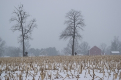 Class B Pictorial Second Place - Snowy Farm by Barbara Kohl Kauffman