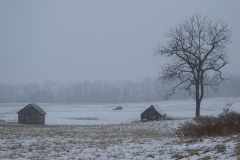 Class B Pictorial Honorable Mention - Snowy Field by Barbara Kohl Kauffman