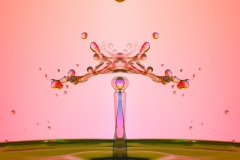 Class A Assigned Subject Second Place - Mirrored by Thomas Stoeri
