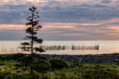 Class A Pictorial Second Place - Canadian Island Sunrise by Ginnie Lodge