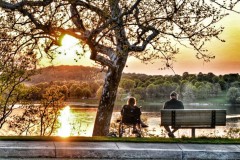 Class B Pictorial Second Place - Sunset Together by Tom Russo
