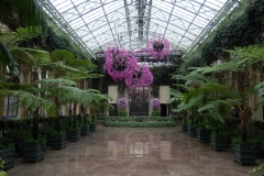 Class B Pictorial Third Place - Longwood Conservatory by Debbie Patt