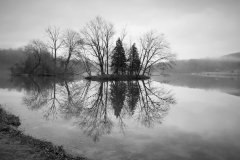Class B Assigned Subject Second Place - Misty Morning by Debbie Patt