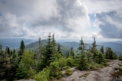 Class A Nature Honorable Mention - Top of the World by Lorne Kingsley