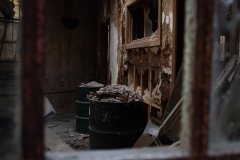Class B Pictorial First Place - Looking In by Gabrielle Allen
