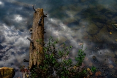 Class A Nature Second Place - Antietam Lake Reflections by Ivan Bub