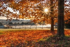 Class A Pictorial First Place - Pennsylvania Autumn Sunrise by Ginnie Lodge