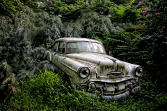 Where Did Everybody Go? by Mark Searfoss