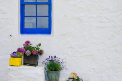 Window Garden by Tom Stoeri