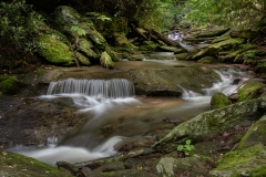 Follow the Stream by Ginnie Lodge