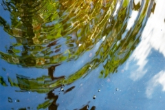 Mary Salen  - "Bubble Worlds"
