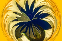 Ginnie Lodge - "Water Lily"